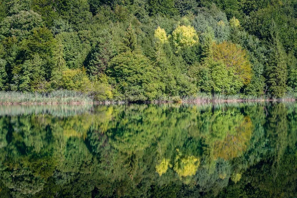 Csodálatos Kilátás Nyílik Plitvicei Tavak Nemzeti Parkra Horvátország Közép Európa — Stock Fotó