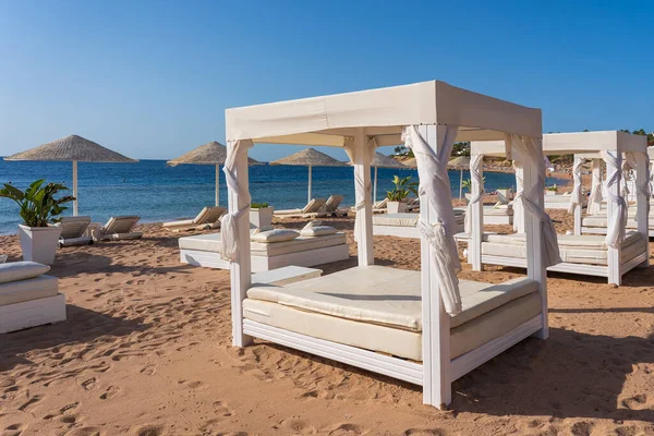 位于非洲红海沿岸的热带度假胜地 白色的日光浴天篷 床上铺着豪华沙滩 检疫期间的空旷海滩 — 图库照片
