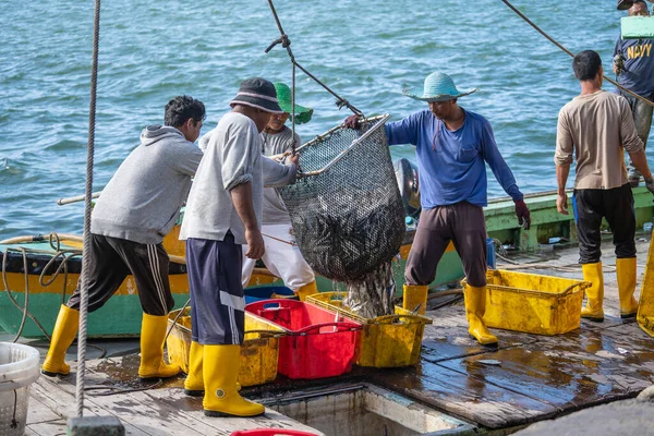 マレーシアのコタキナバル 2020年2月25日マレーシアのサバ州コタキナバルのストリートフィリピン市場で 漁船から獲れた新鮮な魚をプラスチック容器に入れる — ストック写真