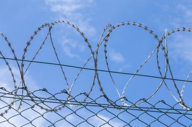 Dikenli telli tel örgüler ve mavi gökyüzü arkaplanı, kapatın.