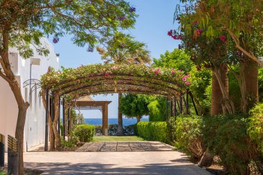 Evin yakınındaki avluda park halindeki bir araba için, Sharm El Sheikh, Mısır, Afrika tatil köyünde, bahçe çiçekleri olan bir kemer şeklinde.