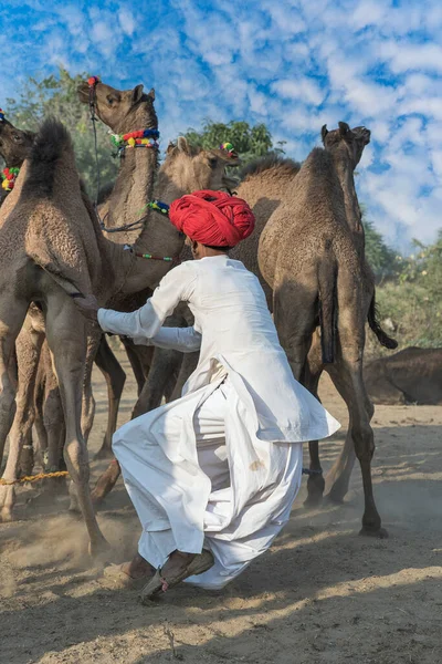 Indiase Man Een Rode Tulband Woestijn Thar Tijdens Pushkar Camel — Stockfoto