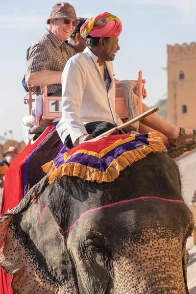 Jaipur India Novembre 2018 Gli Elefanti Decorati Cavalcano Turisti Sulla — Foto Stock