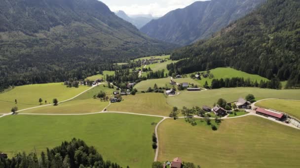 Légi Kilátás Falu Zöld Mezők Erdők Hegyekben Alpok Ausztria Utazás — Stock videók