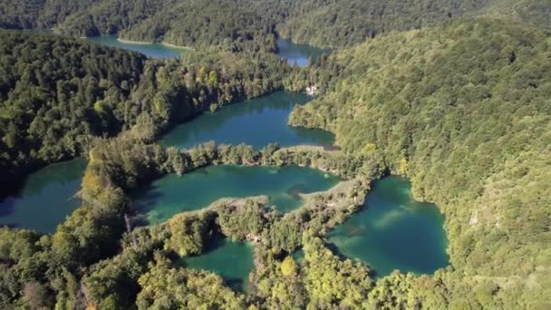 Létání Nad Slavnými Plitvickými Jezery Lesem Létě Chorvatsku Střední Evropě — Stock video