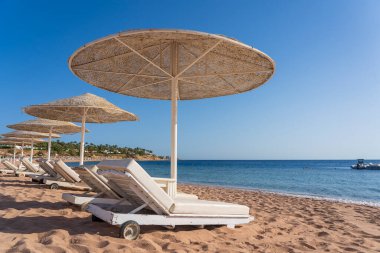 Lüks kumsalda plaj sandalyeleri ve beyaz hasır şemsiyelerle Sharm El Sheikh, Mısır, Afrika 'daki Kızıldeniz kıyısındaki tropikal tatil beldesinde. Karantina sırasında boş plajlar