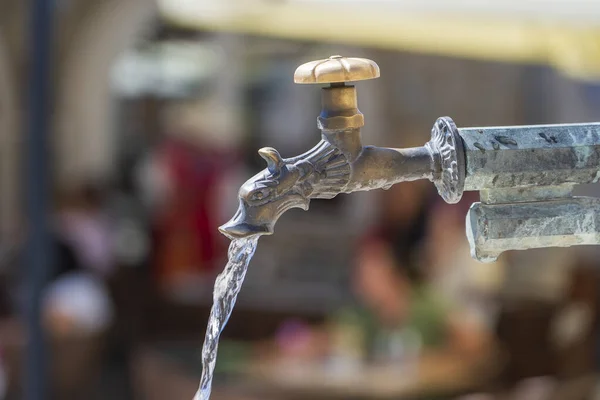 Szüreti Állat Fej Réz Csap Ivóvíz Város Utcájában Olaszország Közelről — Stock Fotó