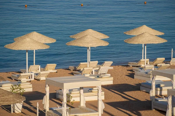 Luxusní Písečná Pláž Plážovými Židlemi Bílými Slaměnými Deštníky Tropickém Letovisku — Stock fotografie