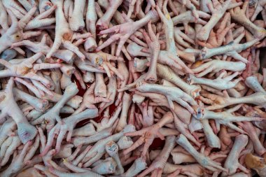 Pazarda taze tavuk ayağı kapatıyoruz, Tayland