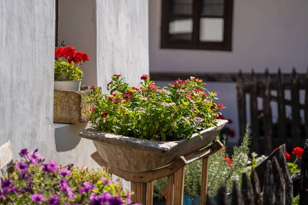 Antigua Casa Rural Patio Con Flores Pueblo Etnográfico Holloko Hungría —  Fotos de Stock