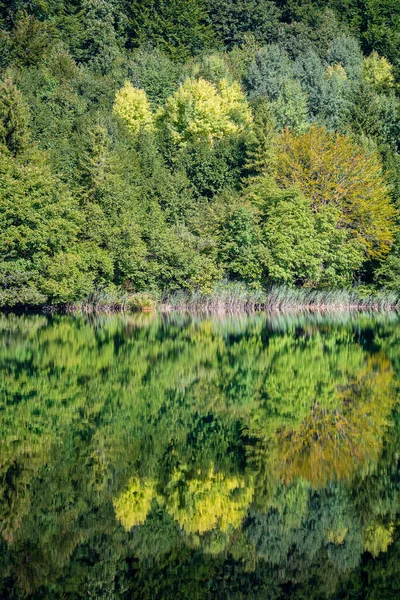 Csodálatos Kilátás Nyílik Plitvicei Tavak Nemzeti Parkra Horvátország Közép Európa — Stock Fotó