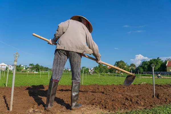 Homem Velho Vietnamita Trabalhando Jardim Aldeia Vegetariana Perto Hoi Cidade — Fotografia de Stock