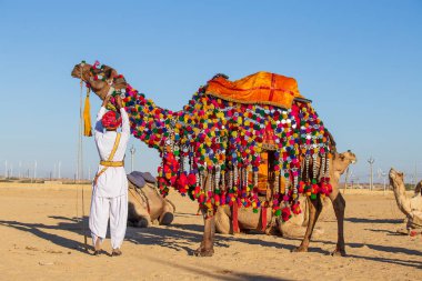 Geleneksel Rajasthani kıyafeti giyen Hintli adam ve deve, Hindistan 'ın Jaisalmer kentinde düzenlenen Çöl Festivali' nin bir parçası olarak Bay Çöl Yarışmasına katıldılar. Kapat.