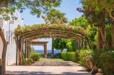 Evin yakınındaki avluda park halindeki bir araba için, Sharm El Sheikh, Mısır, Afrika tatil köyünde, bahçe çiçekleri olan bir kemer şeklinde.