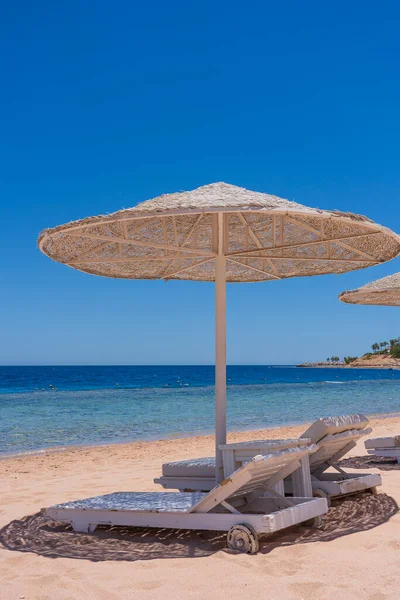 Spiaggia Sabbia Lusso Con Sedie Sdraio Ombrelloni Paglia Bianca Località — Foto Stock