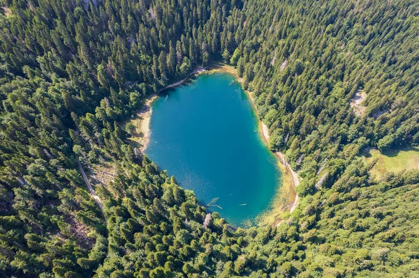 Vista Aérea Del Lago Montaña Rodeado Densos Bosques Coníferas Hayas — Foto de Stock