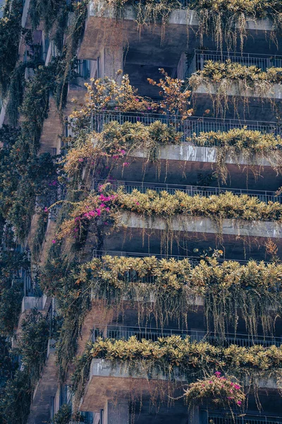 Πρόσοψη Ενός Οικολογικού Κτιρίου Πράσινα Φυτά Και Λουλούδια Ένα Πέτρινο — Φωτογραφία Αρχείου