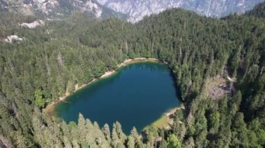 Yoğun kozalaklı ve kayın ormanlarıyla çevrili dağ gölü manzarası. Karadağ, Avrupa. Karadağ 'da ona Zabojsko Jezero diyorlar ve 1481 metre yüksekliğe sahip.