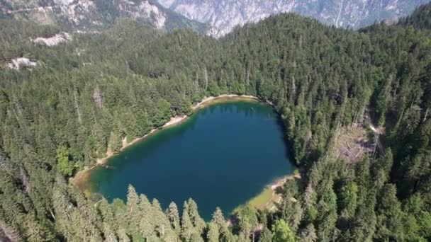 Вид Воздуха Горное Озеро Окруженное Густыми Хвойными Буковыми Лесами Черногория — стоковое видео