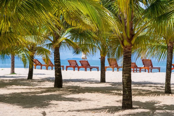 Green Coconut Palm Trees White Sandy Beach South China Sea — Stock Photo, Image