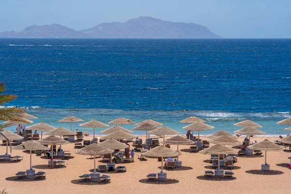 エジプト シャルム シェイク 2021年5月23日 エジプト エジプト アフリカのシャルム シェイクの紅海沿岸の熱帯リゾートで ビーチチェアとわら傘を備えた豪華な砂浜でリラックスします — ストック写真