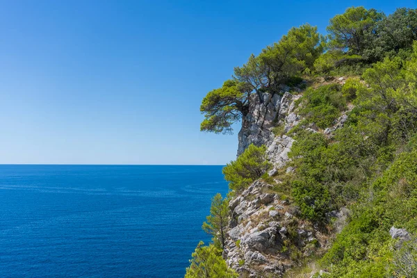 Hırvatistan 'ın kayalık kıyı şeridinde mavi Adriyatik denizi, mavi gökyüzü ve yeşil çam ağacıyla güzel deniz manzarası