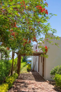 Evin yakınındaki avluda park halindeki bir araba için, Sharm El Sheikh, Mısır, Afrika tatil köyünde, bahçe çiçekleri olan bir kemer şeklinde.