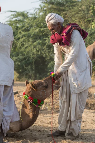 Pushkar Índia Novembro 2018 Homens Camelos Indianos Deserto Thar Durante — Fotografia de Stock