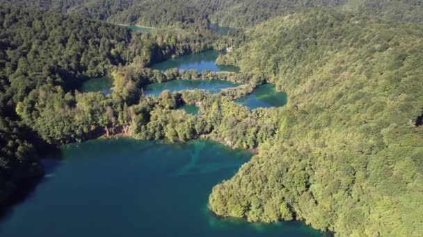 Latanie Nad Słynnymi Jeziorami Plitwickimi Lasem Latem Chorwacji Europie Środkowej — Wideo stockowe