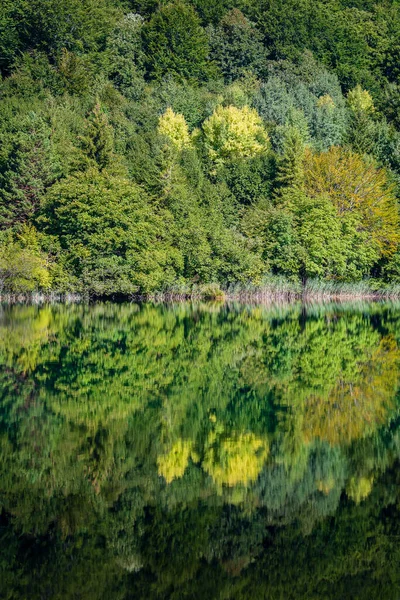 Csodálatos Kilátás Nyílik Plitvicei Tavak Nemzeti Parkra Horvátország Közép Európa — Stock Fotó