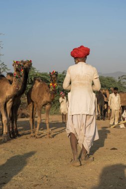 Pushkar, Hindistan - 14 Kasım 2018: Hindistan 'ın kutsal şehri Pushkar, Rajasthan yakınlarındaki Pushkar Camel Mela sırasında çölde yaşayan Hintli adam. Bu fuar dünyanın en büyük deve ticaret fuarı.