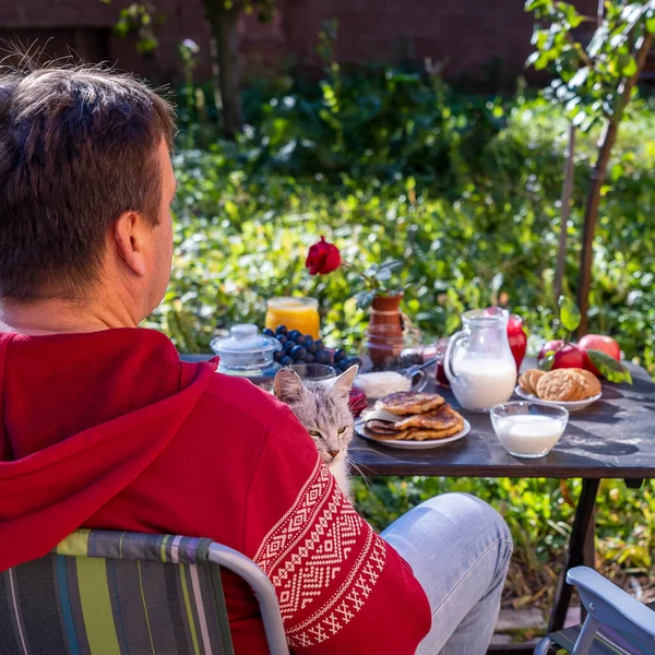 Man Holds Adorable Gray Kitten His Arms While Having Breakfast — Stock Photo, Image