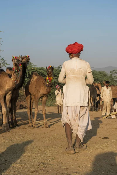 2018年11月14日 インド ラジャスタン州プシュカル近くのプシュカル カメル Pushkar Camel Mela の砂漠の中のインド人男性 このフェアは世界最大のラクダ取引フェアです — ストック写真