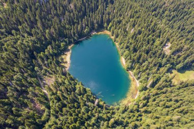 Yoğun kozalaklı ve kayın ormanlarıyla çevrili dağ gölü manzarası. Karadağ, Avrupa. Karadağ 'da ona Zabojsko Jezero diyorlar ve 1481 metre yüksekliğe sahip.