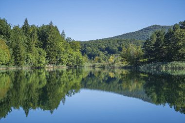 Plitvice Lakes Ulusal Parkı 'nın harika manzarası. Hırvatistan, Orta Avrupa, seyahat ve doğa kavramı