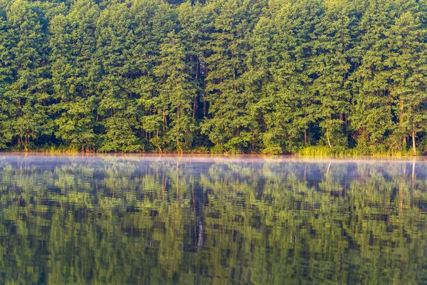 Green Forest Lake Reflection Calm Water Fog Water Ukraine Beauty — Stock Photo, Image