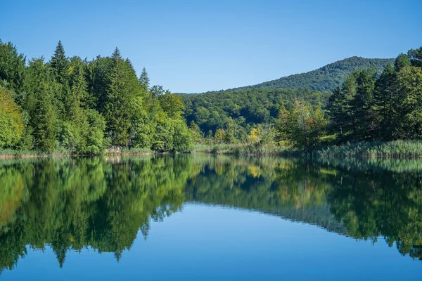 Prachtig Uitzicht Het Nationaal Park Plitvice Meren Kroatië Midden Europa — Stockfoto