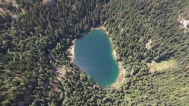 Yoğun kozalaklı ve kayın ormanlarıyla çevrili dağ gölü manzarası. Karadağ, Avrupa. Karadağ 'da ona Zabojsko Jezero diyorlar ve 1481 metre yüksekliğe sahip.