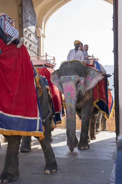 Jaipur India Novembre 2018 Gli Elefanti Decorati Cavalcano Turisti Sulla — Foto Stock