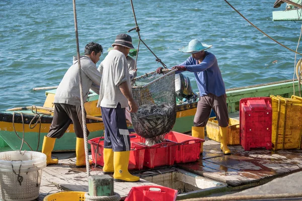 Kota Kinabalu Malaysia February 2020 Malaysian Fishermen Load Freshly Caught — Stock Photo, Image