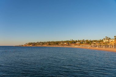 Kızıl deniz kıyıları ve güzel plajları Mısır, Afrika 'da tropikal tatil beldeleri var. Mavi deniz suyu, gökyüzü ve kumsalda saman şemsiyeler.