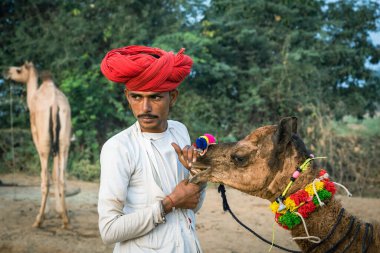 Pushkar, Hindistan - 15 Kasım 2018: Hindistan 'ın kutsal şehri Pushkar, Rajasthan yakınlarındaki Pushkar Camel Mela sırasında çölde yaşayan Hintli erkek ve deve. Bu fuar dünyanın en büyük deve ticaret fuarı.