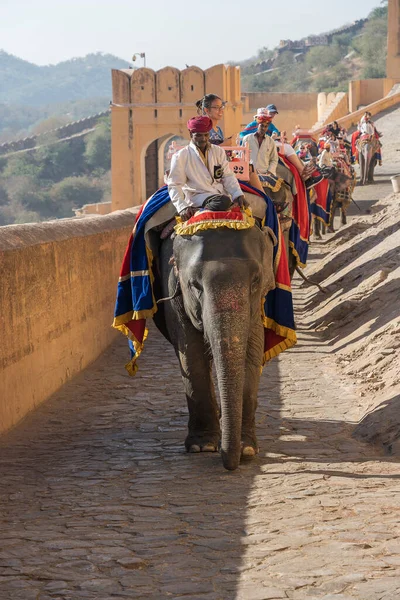 Jaipur India Nov 2018 Decorated Elephants Ride Tourists Road Amber — Stock Photo, Image