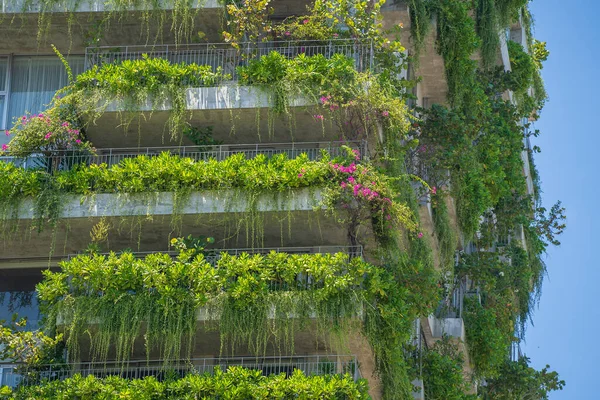 Facade Ecological Building Green Plants Flowers Stone Wall House Facade — Fotografia de Stock