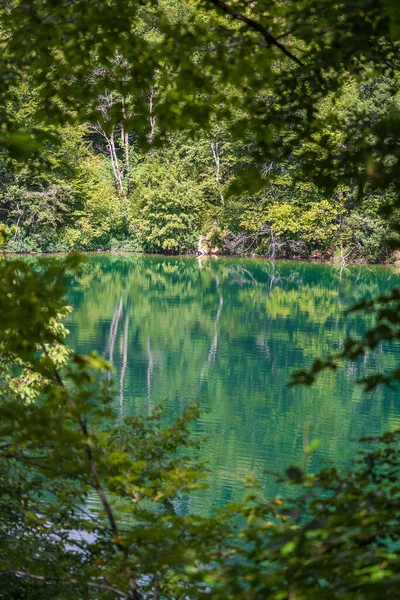 Wspaniały Widok Park Narodowy Jezior Plitwickich Chorwacja Europa Środkowa Koncepcja — Zdjęcie stockowe