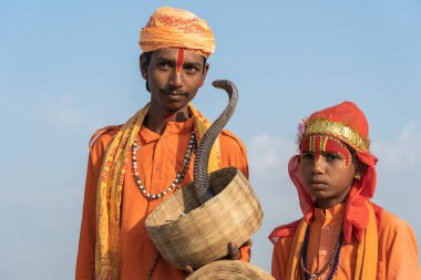 Pushkar, Hindistan - 14 Kasım 2018: Hindu sadhu kutsal adamları ve yılan kobrası çölde Thar zamanında Pushkar Camel Mela kutsal şehir Pushkar, Rajasthan, Hindistan, yakın portre