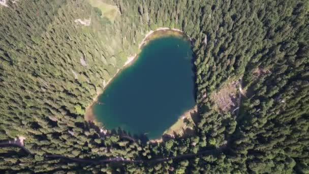 Uitzicht Vanuit Lucht Het Bergmeer Omgeven Door Dichte Naald Beukenbossen — Stockvideo