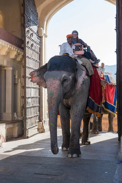 印度斋浦尔 2018年11月26日 印度拉贾斯坦邦斋浦尔古城琥珀堡路上的大象骑着游客 — 图库照片