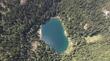 Yoğun kozalaklı ve kayın ormanlarıyla çevrili dağ gölü manzarası. Karadağ, Avrupa. Karadağ 'da ona Zabojsko Jezero diyorlar ve 1481 metre yüksekliğe sahip.