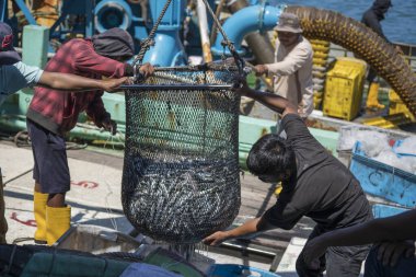 Kota Kinabalu, Malezya - 25 Şubat 2020: Malezyalı balıkçılar taze avlanan balıkları bir gemiden Kota Kinabalu, Sabah, Malezya 'daki sokak filipin pazarındaki plastik konteynırlara yüklüyorlar